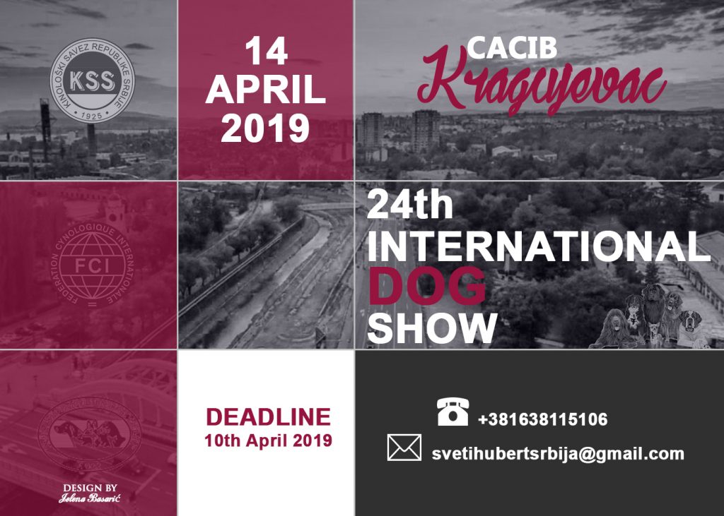 International Dog Show CACIB Kragujevac 2019 (Serbia), MOJ LJUBIMAC (Video)