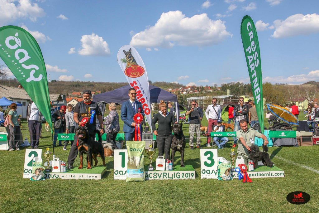 RESULTS-2nd National Dog Show CAC Svrljig (Serbia)-April 21st 2019