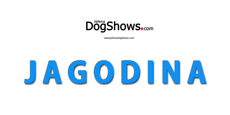 International Dog Show CACIB Jagodina 2019 (Serbia), MOJ LJUBIMAC (Video)