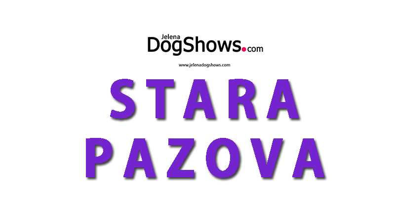 International Dog Show CACIB Stara Pazova 2022 (Serbia), MOJ LJUBIMAC (Video)