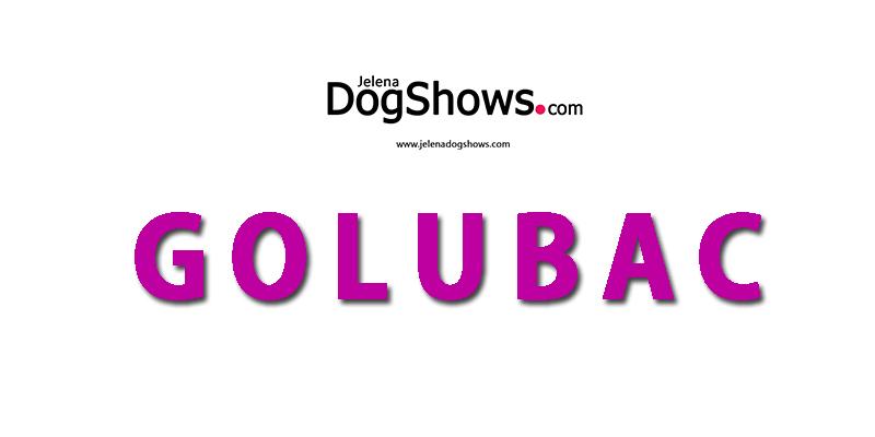 National Dog Show CAC Golubac 2018 (Serbia), MOJ LJUBIMAC (Video)