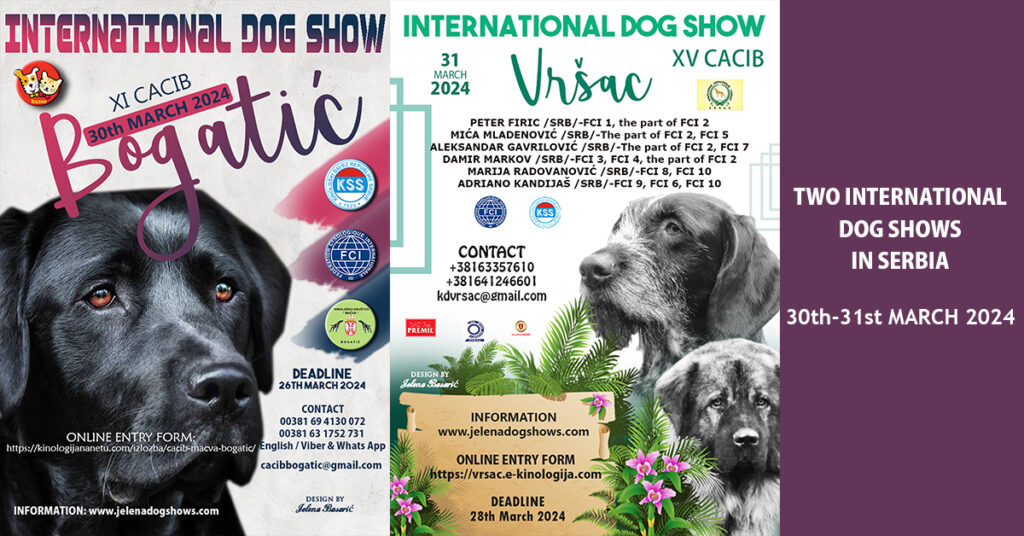 Two International Dog Shows in Serbia CACIB BOGATIĆ & CACIB VRŠAC, 30th-31st March 2024