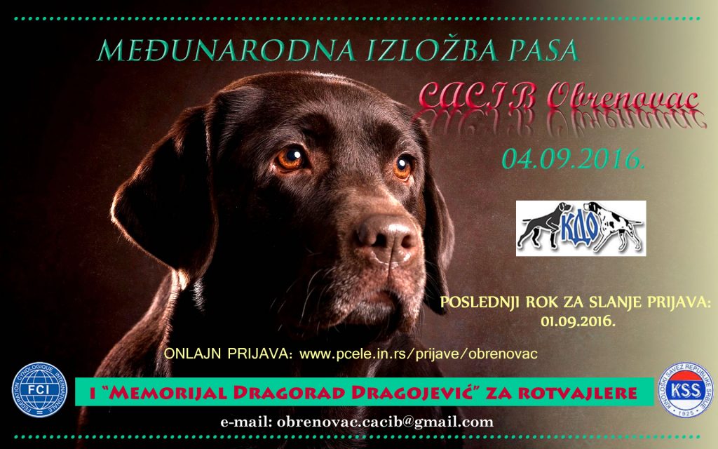 Međunarodna izložba pasa CACIB Obrenovac 2016 -,,Moj ljubimac” (video)