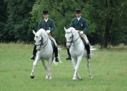 CACIB Lipica 2,9.10.2016. (Slovenija) – BIS RESULTATI