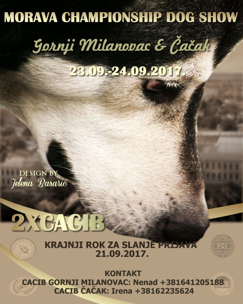 Međunarodna izložba pasa CACIB Čačak 2017 -,,Moj ljubimac” (video)